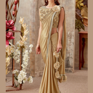 Fancy Work Saree