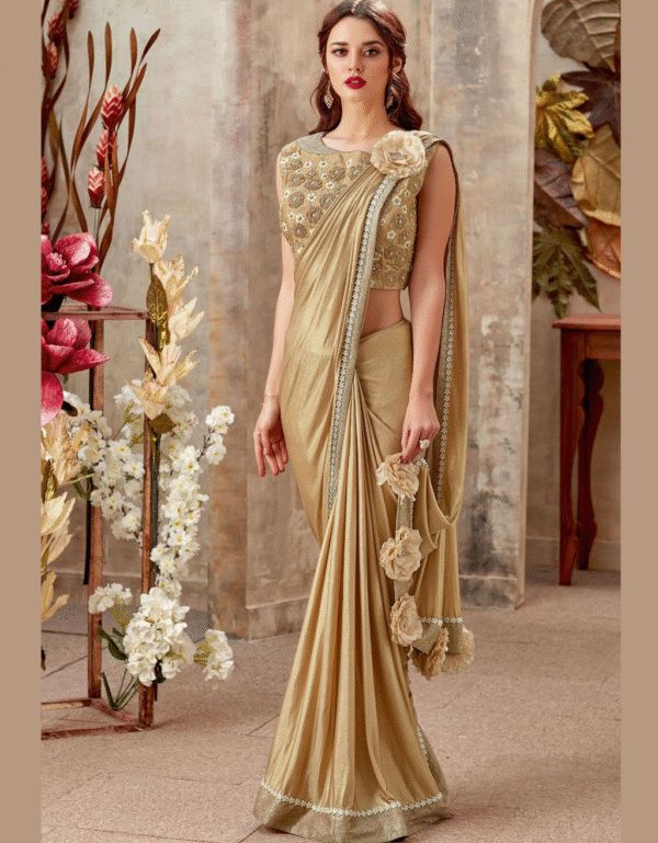 Fancy Work Saree